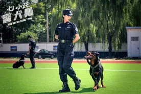 《七小汪警犬队》定档2月3日 致敬守护城市的忠诚卫士图片