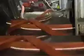 家都烧了......看家狗子还在呼呼大睡图片