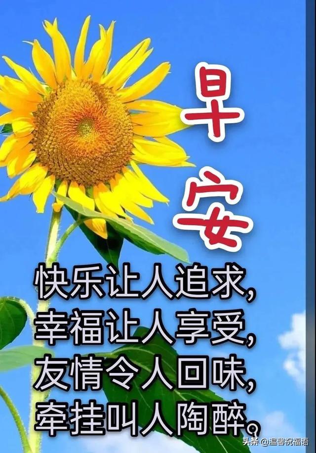 创意唯美亲人朋友早上好祝福语图片大全免打字 清晨早安问候语图片