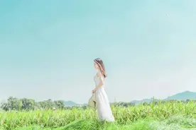 人民日报每日文摘｜各自努力，顶峰相见图片