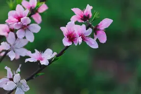 想你，成了一种习惯，做不成夫妻，你也是我最爱的人图片