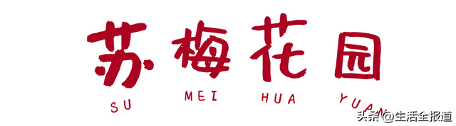 花胶大王 2026年花胶大王范姐