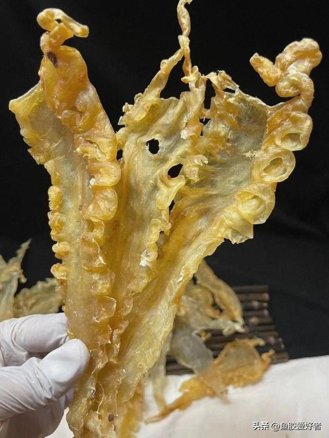 鳕鱼胶的营养价值及功效 鳕鱼胶的营养价值及功效与禁忌