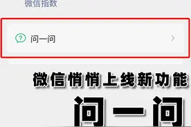 微信悄悄上线一个新功能：「问一问」图片