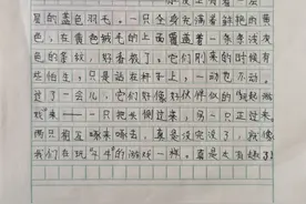 四年级优秀作文《鹦鹉观察日记》（作者：李忻宸）图片