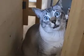 手机号被陌生车辆绑定 两年来不堪信息骚扰图片