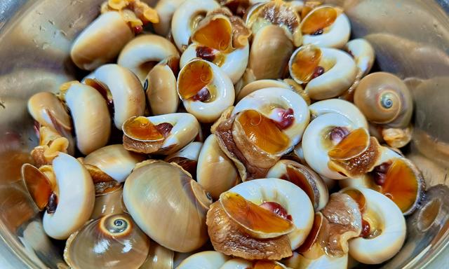 玉螺的做法(冬天) - 绿巢号