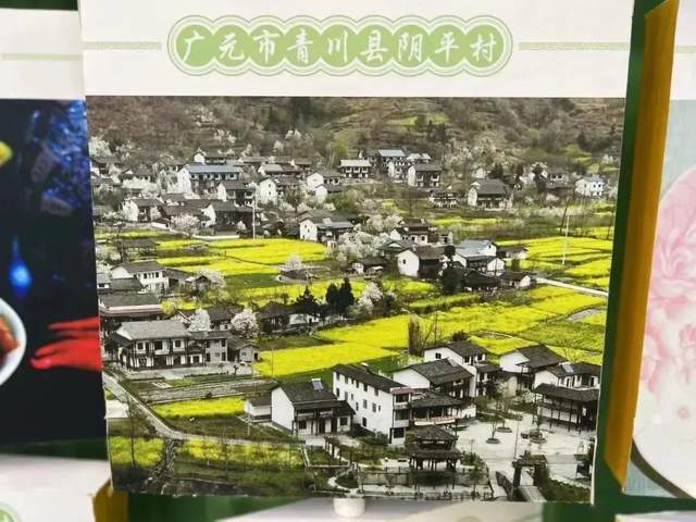 四川省民生研究会新媒体中心-官网