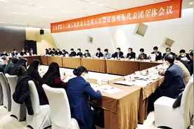 扬州代表团审议省政府工作报告：踔厉奋发担当新使命，笃行不怠奋进新征程图片