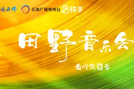 又是一年好“丰”景，多位快手达人连麦田野音乐会共话秋收图片