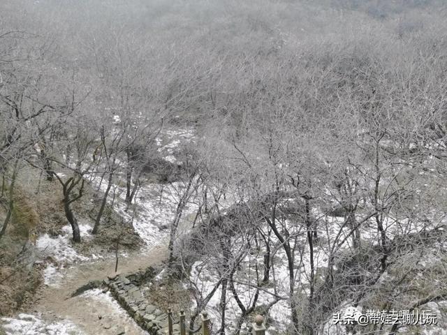 上苇甸村 上苇甸村海拔(图32) 上苇甸村 上苇甸村海拔(图32)