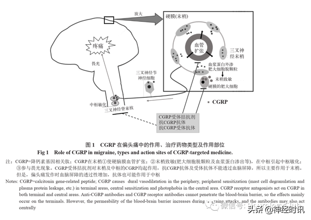 神经综述：偏头痛的药物及非药物治疗研究进展