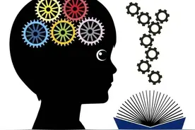 人脑每秒钟运行一万亿次图片