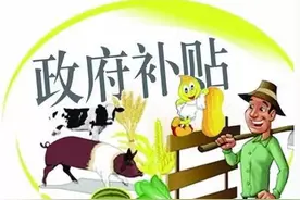 牧原等5家巨头年拿补贴10亿，散户汤也喝不上？国家应取消补贴？图片