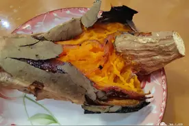 人生百味 | 红薯情图片