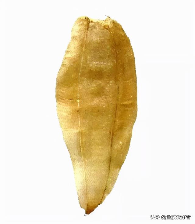 安南胶和北海胶哪个好 2026年安南胶和北海胶哪个好一点