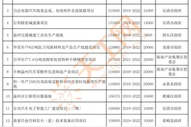浙江省温州市2022年重大产业项目清单，共383个（附完整名单）图片