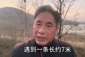 巴西深海巨蟒，比人气死人，蛇比蛇恨死人图片