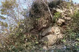 故事：男子上山游玩，听到孩子的哭声，发现一座大墓里有两个孩子图片