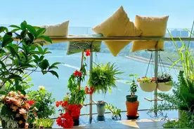 海口夸下海口：“冲刺社会面清零，保障消博会如期举办”图片