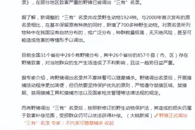 人猪矛盾激化后续：7月野猪正式移出“三有”名录，可以捕杀吗？图片