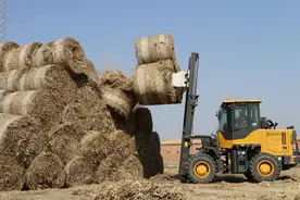 生物颗粒燃料未来能替代煤气为主的北方供暖模式吗？图片