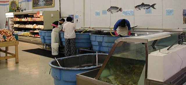 它是中国人餐桌上的酸菜鱼，流入美国竟混成了鱼塘霸主
