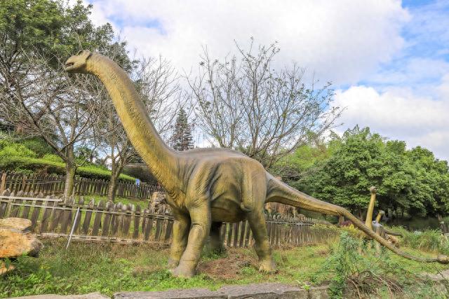 河源恐龙博物馆(中国三大恐龙博物馆是哪三个)