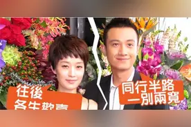 3位离婚女星现状：马伊琍身价十几亿，佟丽娅分2亿资产暴露格局图片