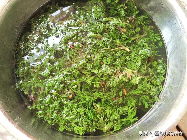 3月白蒿正当时，你知道怎么吃吗？学会这做法，卷卷蒸一蒸太香了