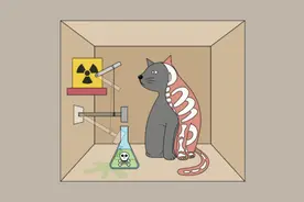 薛定谔的猫如何一战成名图片