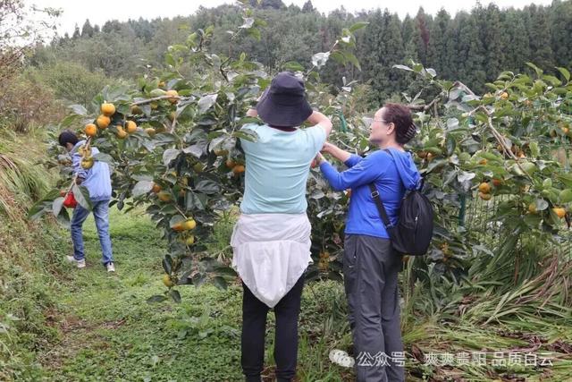 白云区国庆中秋文旅战报：游客↑33%，收入↑35.5%