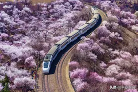 1月26日至2月8日，南阳车务段管内加开8趟高铁列车，10趟普速临客列车图片