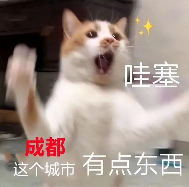 全国试点！成都！