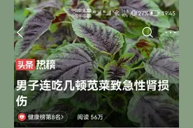 苋菜与肾脏健康：了解焯水的重要性图片