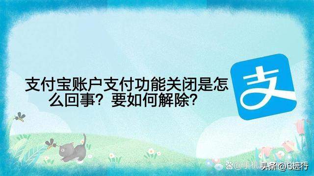 支付宝支付功能被关闭（支付宝账户支付功能关闭是怎么回事要如何解除）