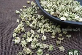 每天学习一味中药——刺蒺藜图片