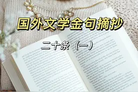 国外文学金句摘抄二十条（一）图片