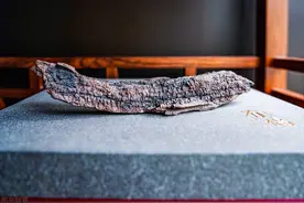 农村遇到雷击枣木，别再当柴烧，可遇不可求，教你3种分辨方法图片