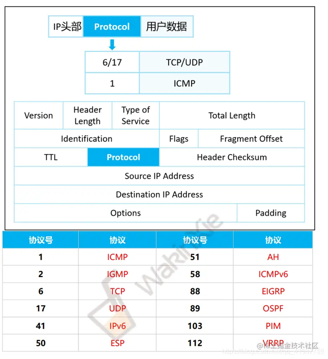 �齨������Ĵ�����ҵ����֪ʶ���ǳ���ϸ�ղغ�����ѧϰ