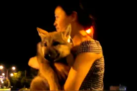 2010年，成都女孩把狼当“儿子”养了10个月，11年后结局催人泪下图片