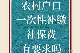 农村户口，一次性补缴社保有什么要求吗？图片
