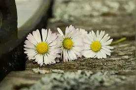 当别人不回复你信息时，原因很简单，看完就明白了图片