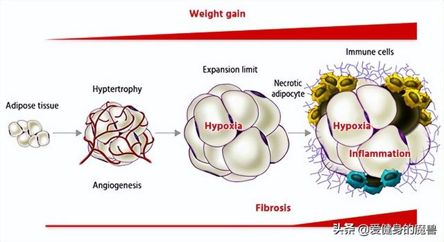 濂借韩鏉愬彧浼氭槸浣犵殑鍔犲垎椤癸紒浣犲仛濂藉鏃ョ殑鍑嗗浜嗗悧锛? onerror=