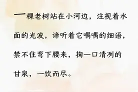 今日美文 | 金波笔下《树叶上的童话》图片