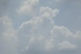 猛男成长打卡2图片