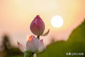 你终究会明白，你上辈子“亏欠”了谁，这辈子就会遇到什么人图片