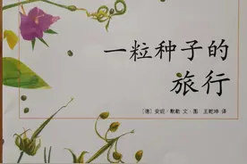 优秀儿童绘本故事二十七《一粒种子的旅行》图片
