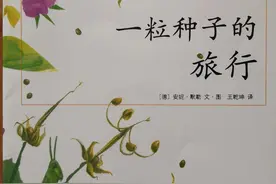 优秀儿童绘本故事二十七《一粒种子的旅行》图片