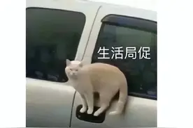 涩涩没了，玩家全成小丑？一天收到1万5千条差评：仙人跳图片